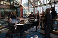 IMG_9204